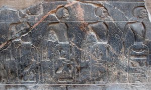 Egyptian antiquity: detail of a relief decorating the emblems of the territories conquered by Pharaoh Ramses II by Egyptian 19th Dynasty
