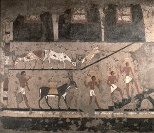 Agricultural Scene, Wall Painting Removed from the Mastaba of Ti at Sakkara, Old Kingdom
