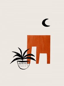 Terracotta Night Plant