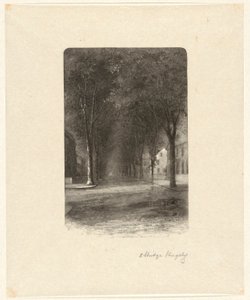 Untitled [Tree-Lined Street] by Elbridge Kingsley