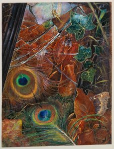 And a Neglected Looking Glass / And the Child Cared Nothing About the Looking Glass