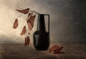 Black Vase Dried Pods