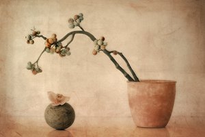 Earthy Berries and Orchid by Elena Arjona