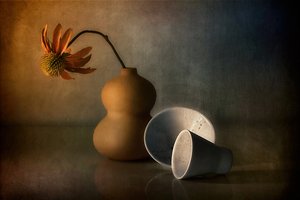 Moody Still Life Reflection