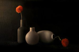 Orange Bloom Still Life