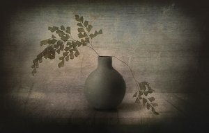 Quiet Fern Still Life
