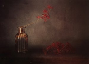Red Bloom Still Life