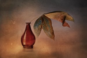 Red Vase Autumn Leaves