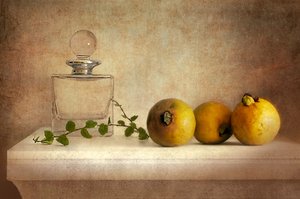 Vintage Guava Still Life