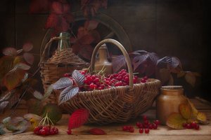 Still Life with Scarlet Viburnum Autumn Branches and Berries in Vintage Style