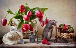 Whimsical Garden Rat