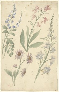 Four Studies of Pink and Blue Flowers by Elias van Nijmegen
