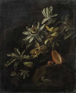 Still Life with Passionflowers