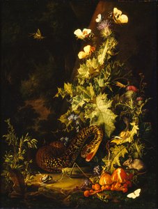 Still Life with a Snake, early 18th century by Elias van den Broeck