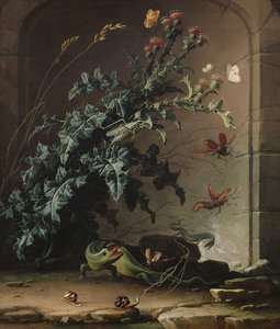 Stone Niche with Thistle, Lizard and Insects by Elias van den Broeck