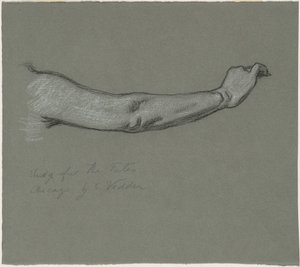 Study for 