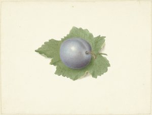 Plum on a Leaf by Elisabeth Geertruida van de Kasteele