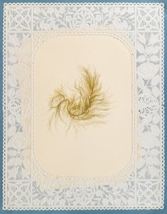Seaweeds by Eliza A. Jordson