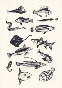 Monotone Plain Fish by Eliza Southwood