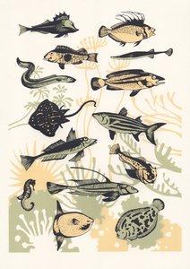 Peach Seaweed Fish