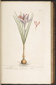 Plate 144, from 