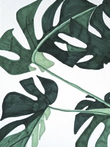 Abstract Green Monstera by Elizabeth C