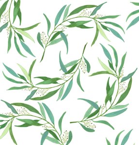 Eucalyptus Leaves by Elizabeth Rider