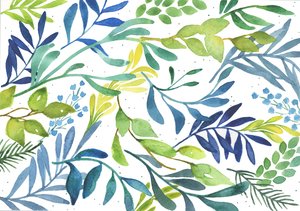 Foliage Medley by Elizabeth Rider