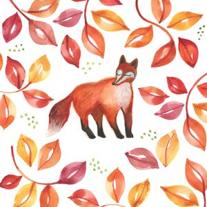 Fox, 2017 by Elizabeth Rider