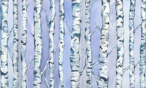 Silverbirch Forest by Elizabeth Rider