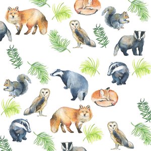 Woodland Animals by Elizabeth Rider