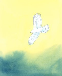 In His justice, God is like a huge bird of prey, who sees from afar the tiniest creature on earth and all its movements by Elizabeth Wang