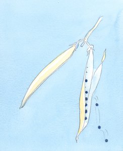 It