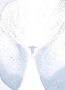 Our Blessed Lady was joyful when they parted at the Ascension, since Christ left to take His place in Heaven, at last, to a great swell of joy by Elizabeth Wang