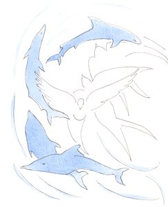 The 