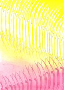 The heavenly host