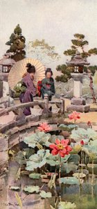Lotus Flowers by Ella Du Cane