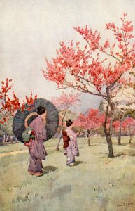 Peach Blossom by Ella Du Cane