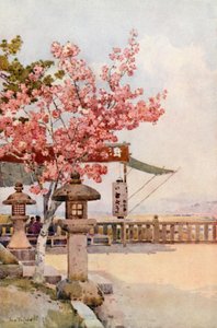 The Pink Cherry by Ella Du Cane
