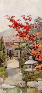 The Scarlet Maple by Ella Du Cane