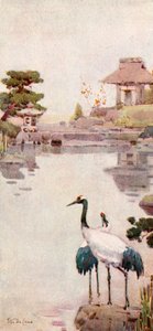 The Storks by Ella Du Cane