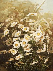 Daisies by Ellen Thayer Fisher