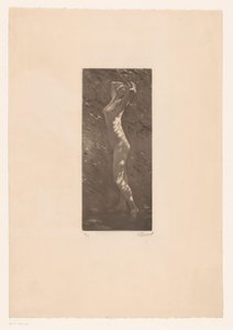 Naked Woman in Sunlight by Ellinnot (signed by artist)