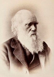 Charles Darwin: English Naturalist