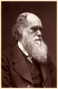Charles Darwin: English Naturalist