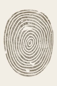 Concentric Wood Rings