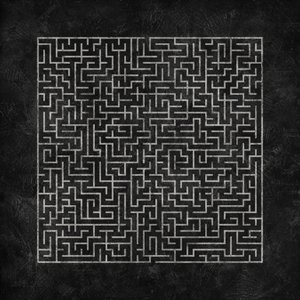 Intricate Maze Challenge by Ema Paraschiv