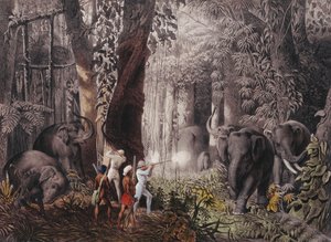Journey... in East India, Ceylon, Java, China and Bengal by Emanuel Andrasy