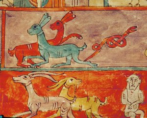 Animals Inside the Ark