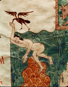 Raven Picking at a Dead Body